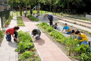 Rembrandtstraat community play garden, Rotterdam; Copyright Stichting Havensteder | Photo by Martin Bouwman