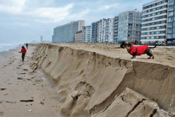 Photo Courtesy of Architecture Workroom