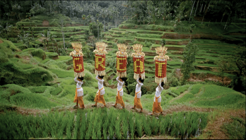 TANDARD CHARTERED COMMERCIAL | Image courtesy of SAGMEISTER INC