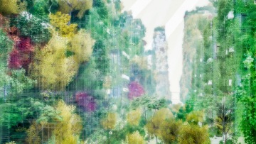 The Green Dip | Image courtesy of the Why Factory